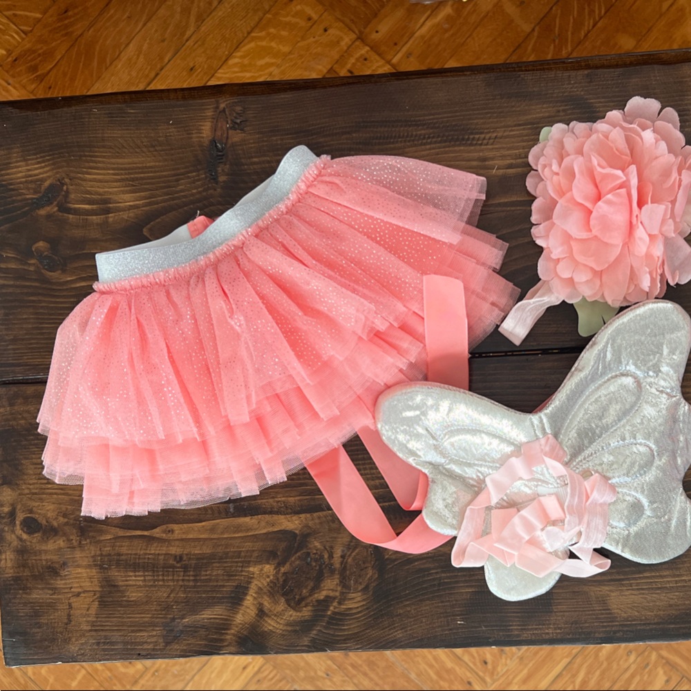 Pink Tutu with Silver Wings and Flower Headband